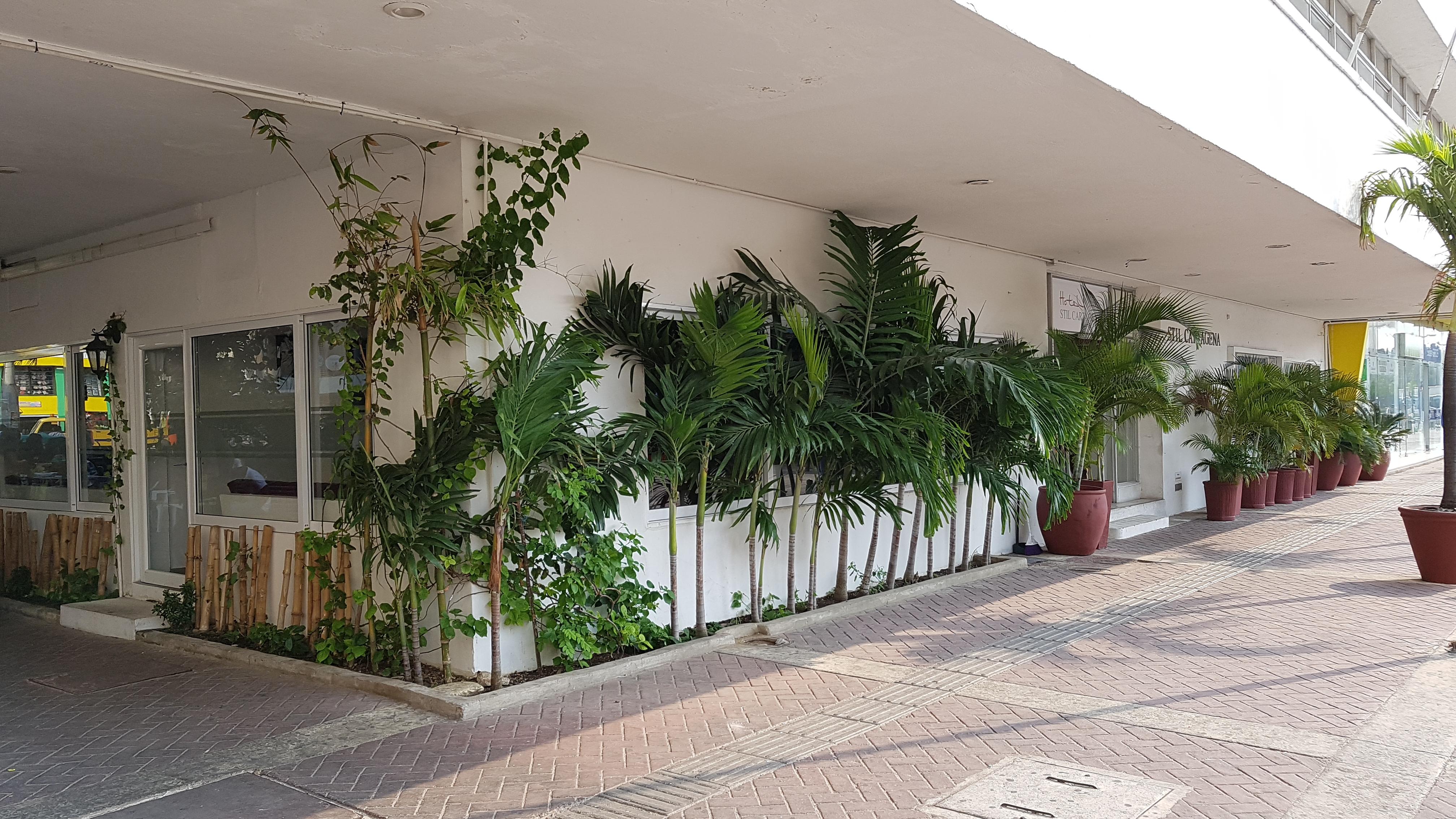 Hotel Stil Cartagena Bagian luar foto